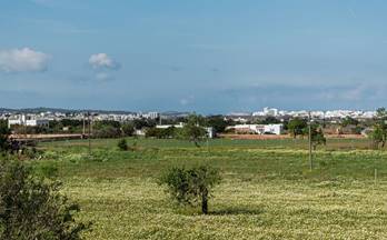 556 terrenos y fincas en venta islas baleares provincia
