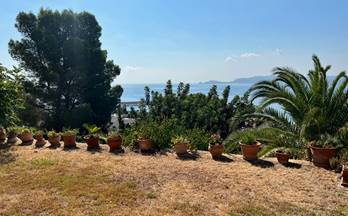 153 terrenos y fincas en venta moraira