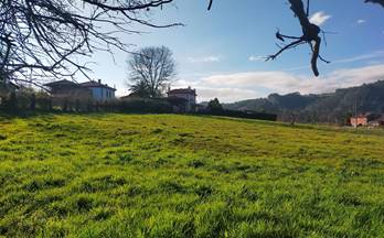 venta terrenos solares pravia 