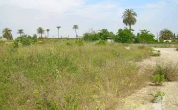 247 terrenos y fincas en venta valencia provincia