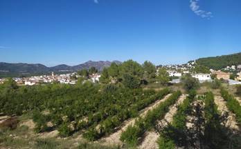 204 terrenos y fincas en venta gata de gorgos