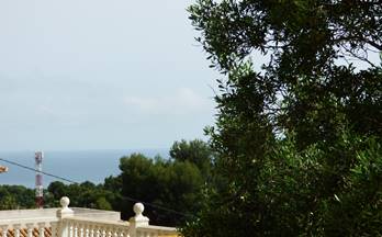 172 terrenos y fincas en venta denia