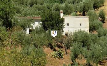 78 casas en venta castillo de locubin