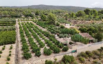 comprar casas baratas benicolet