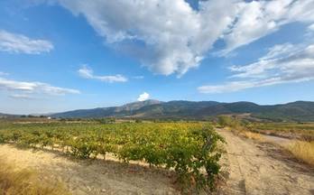 venta finca rustica laujar de andarax laujar de andarax