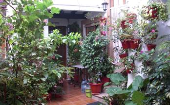 alquiler apartamento vejer de la frontera casco antiguo