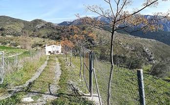 venta casa de campo alcaucin 