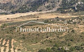 56 terrenos y fincas en venta malaga