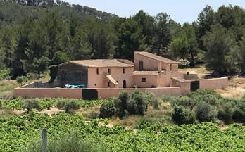venta masia sant pere de ribes can lloses - valles altos