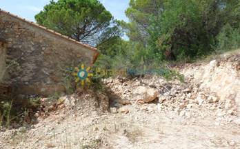 venta terrenos solares real de gandia a las afueras