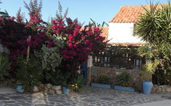 venta finca rustica vejer de la frontera cañada ancha