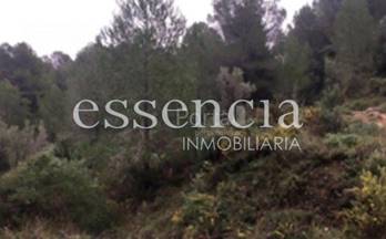 66 terrenos y fincas en venta potries