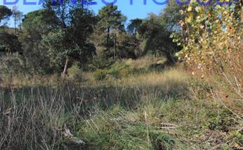 53 terrenos y fincas en venta massanes