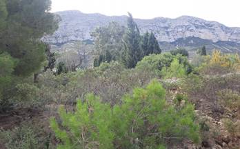 199 terrenos y fincas en venta benidoleig