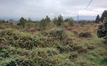 venta terrenos solares ontinyent el llombo