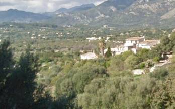 venta terrenos solares campanet son bordoy