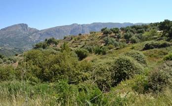 venta terrenos solares benimantell 