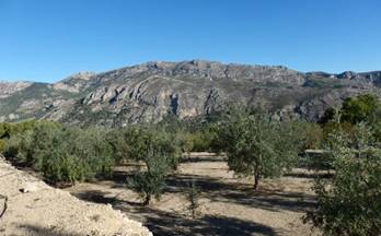 56 terrenos y fincas en venta benifato