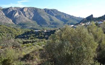 venta terrenos solares beniarda 