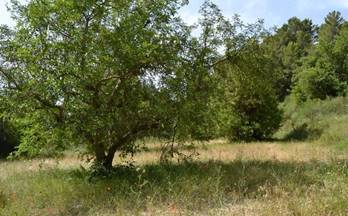 87 terrenos y fincas en venta polop