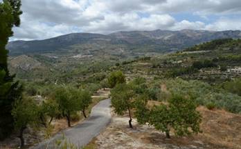 venta terrenos solares beniarda 