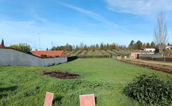 venta terrenos solares zafra zafra