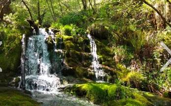 6 terrenos y fincas en venta rionansa