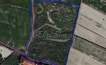 venta terrenos solares arona buzanada
