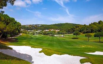 10 terrenos y fincas en venta san roque