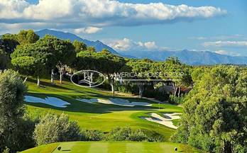 venta terrenos solares san roque altos de valderrama