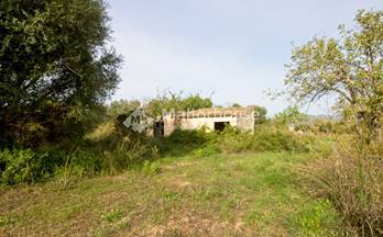 109 terrenos y fincas en venta santa margalida