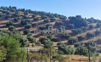 venta finca rustica antequera polígono - alrededores - pedan