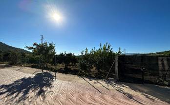 venta terrenos solares buñol buñol