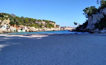 10 terrenos y fincas en venta cala d´or