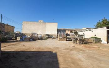 112 terrenos y fincas en venta llubi