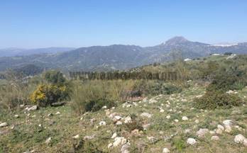 venta terrenos solares casares casares