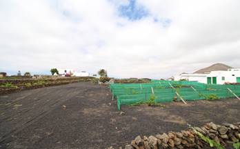 10 terrenos y fincas en venta tinajo