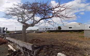 venta terrenos solares teguise muñique