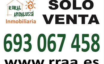 venta empresa matalascañas centro - sector a