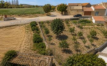 13 terrenos y fincas en venta santibañez de ecla