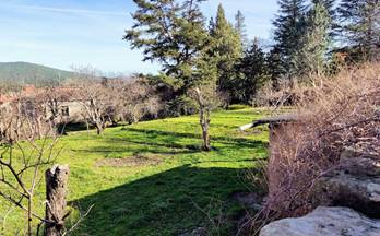 2 terrenos y fincas en venta vinuesa