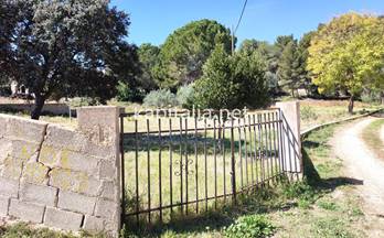 74 terrenos y fincas en venta benisuera