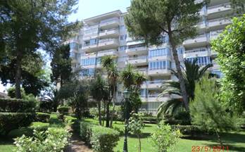 244 pisos en venta palmera