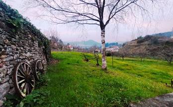 venta terrenos solares pravia 