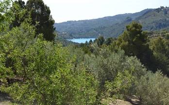 venta terrenos solares beniarda pantano solana