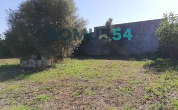 97 terrenos y fincas en venta campanet