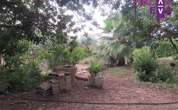 8 terrenos y fincas en venta constanti