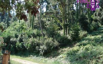 15 terrenos y fincas en venta vallromanes