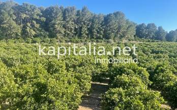 60 terrenos y fincas en venta rotgla i corbera