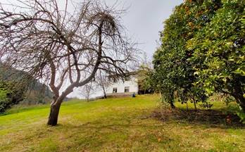 55 terrenos y fincas en venta llanera